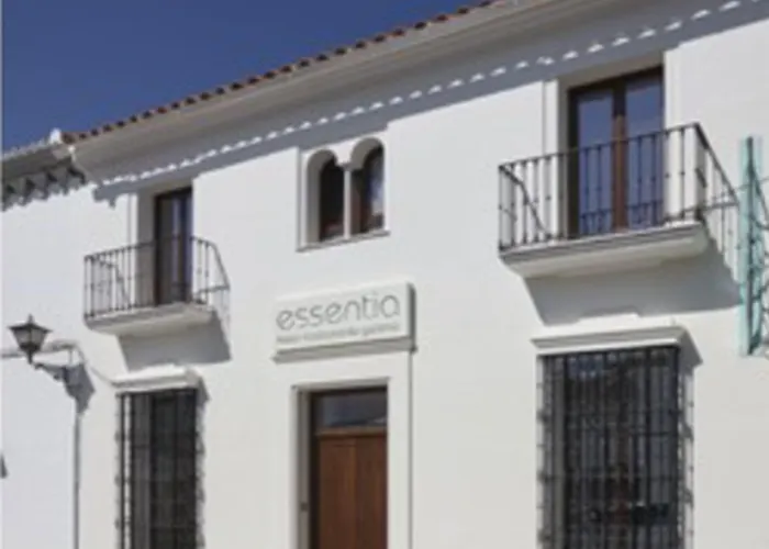 فندق Galeria Essentia