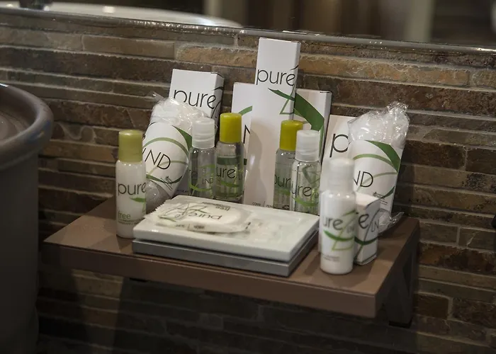 Galeria Essentia فندق