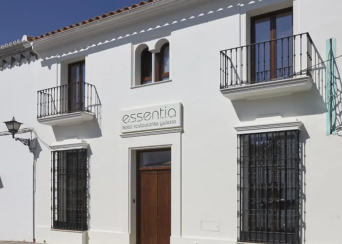 Galeria Essentia فندق 3*